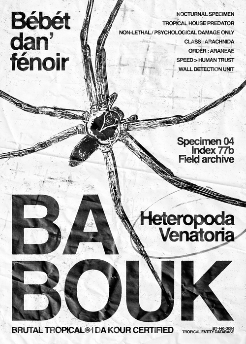 Bébét dan' fénoir - Afiche ile de la Réunion Babouk