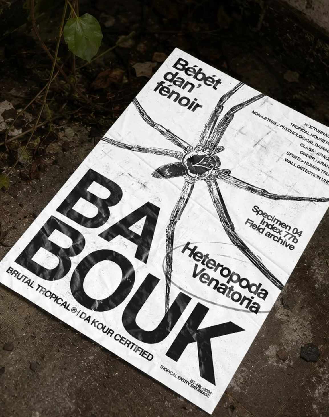 Bébét dan' fénoir - Afiche ile de la Réunion Babouk