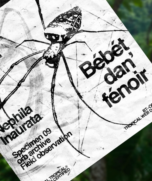 Spider Brutal Tropical art - Reunion island art 