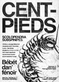 bébét dan' fénoir brutal tropcial reunion island art 