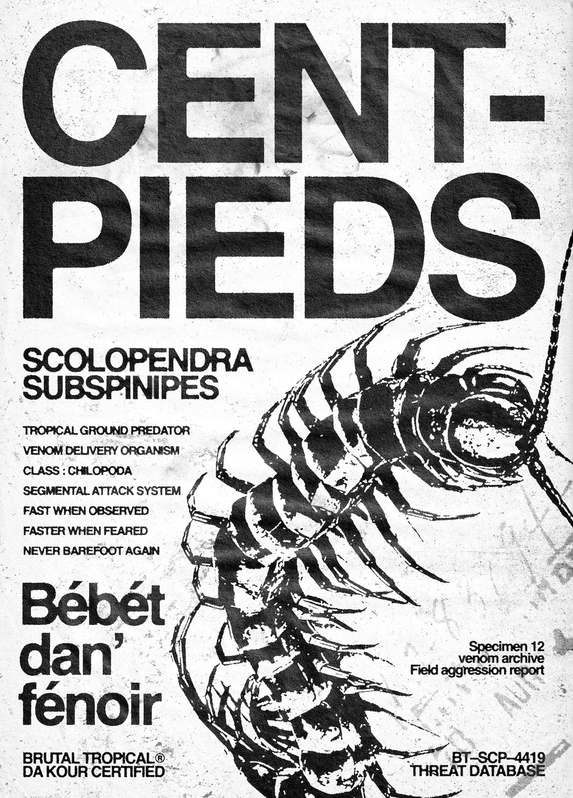 bébét dan' fénoir brutal tropcial reunion island art 