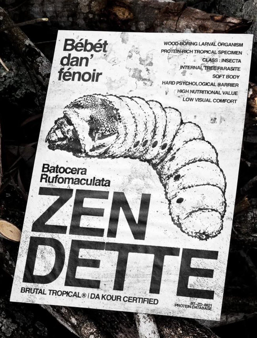 Bébét dan' fénoir - Reunion island art 