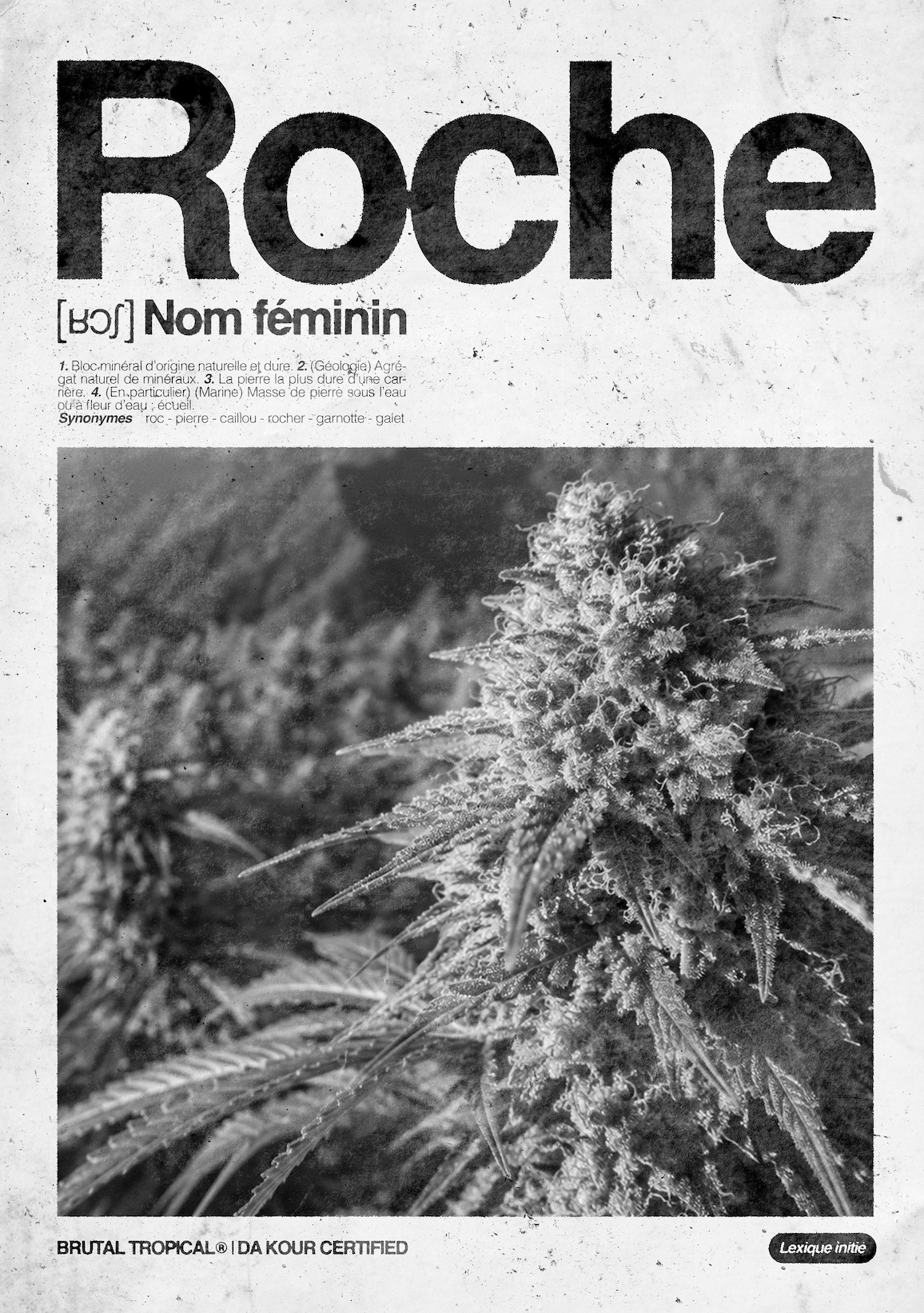 Roche